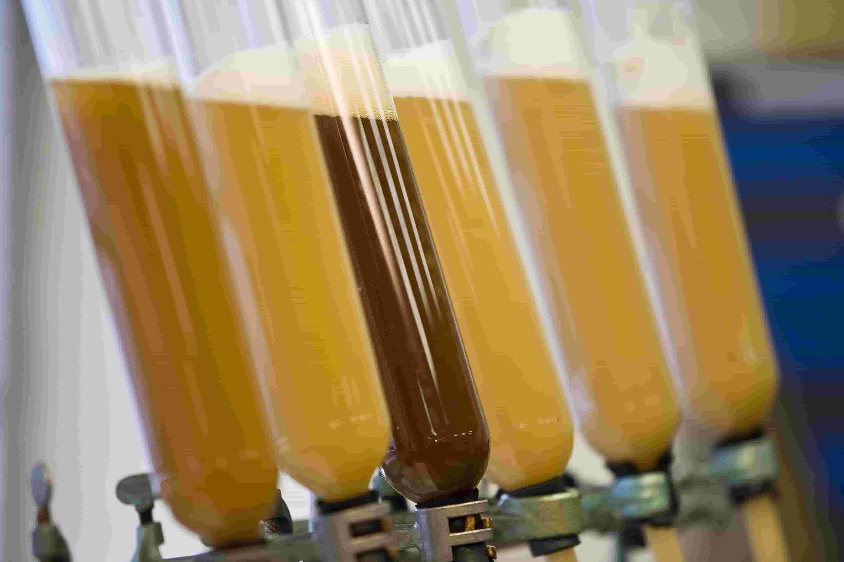 Beer Samples - Eichbaum 0107