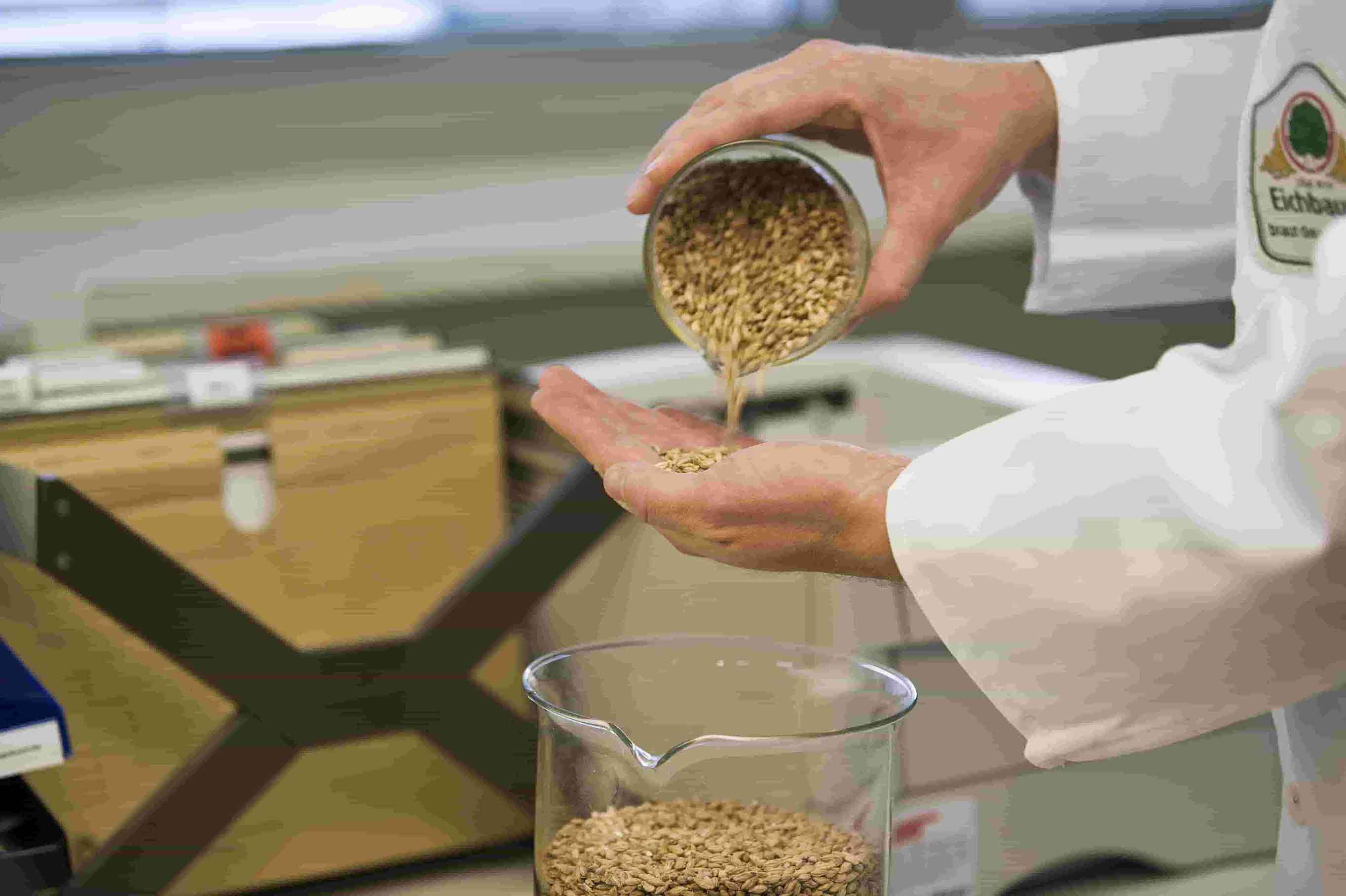 Quality Checking of Raw Materials - Eichbaum 0109